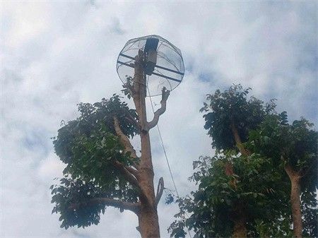 继续占领老街周边据点，俄罗斯工程师为缅军安装反无人机干扰器