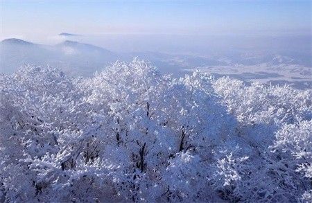 坐东北高铁的一路欣赏限时景观展示