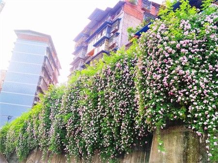 四川宣汉的一角美得嗨翻天啦