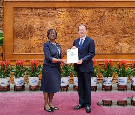 外交部礼宾司司长洪磊分别接受爱尔兰、津巴布韦新任驻