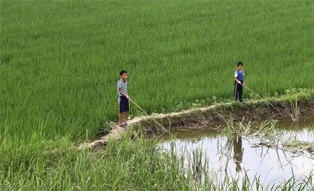 探秘金正恩治理下的朝鲜农村妇女真实生活