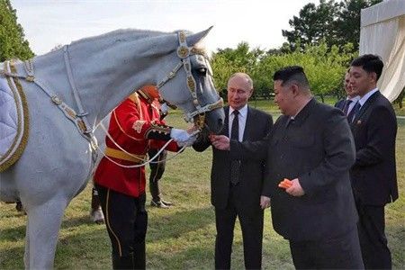 俄罗斯给朝鲜24匹马，"他最爱的品种&q