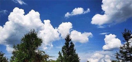 天哪，怎么这么好看的颜值？世界人民都不淡定了...