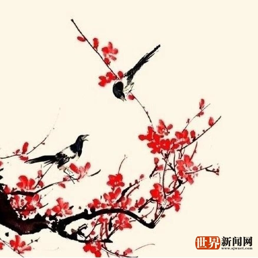 作家蓝朝云：影视剧本《喜鹊之歌》、《红绒线》欣赏