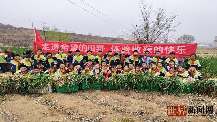 走进山西闻喜的田野体验收获与快乐