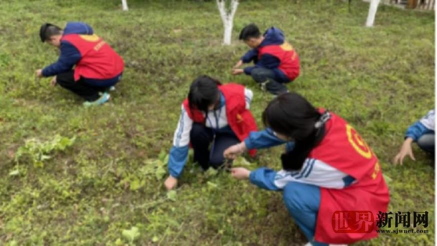 宣汉职专：“志愿红”闪耀三月天，赤子心赓续雷锋魂