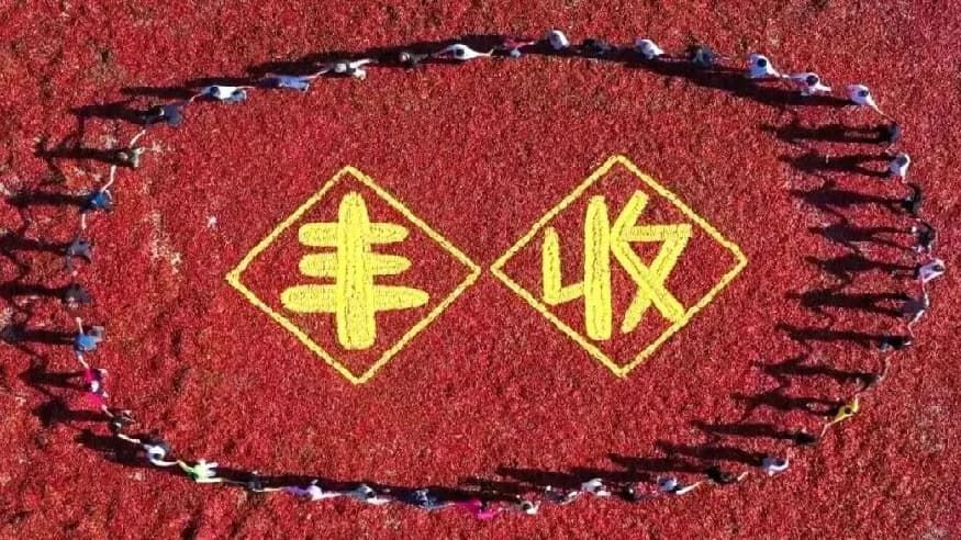 重要提醒：避免从这个机场入境美国！