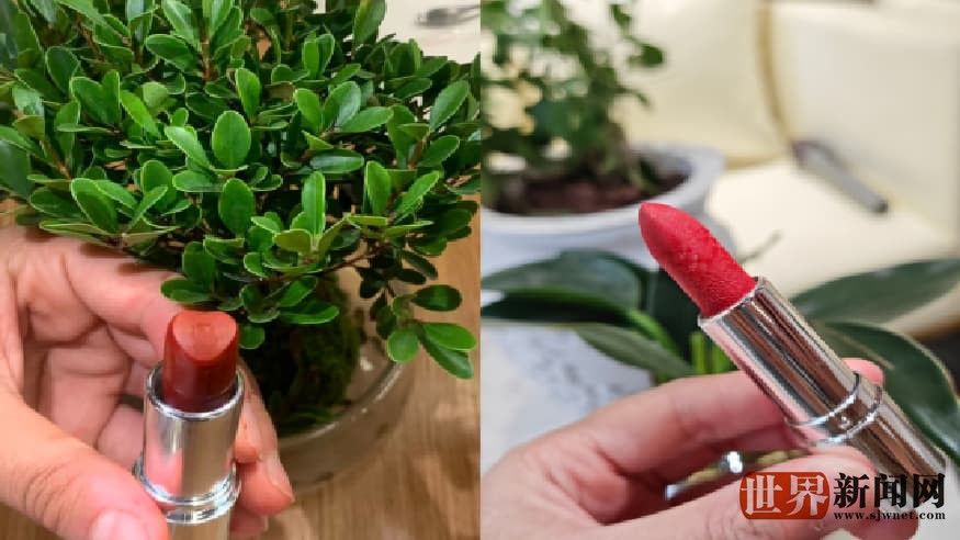 实训场即课堂：宣汉职专师生携手研创健康口红