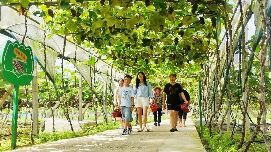 农旅融合赋能乡村振兴，夏日文旅业态持续升温