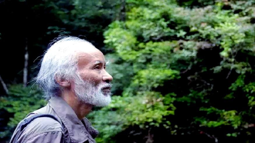 国家动物博物馆：性质恶劣，强烈谴责