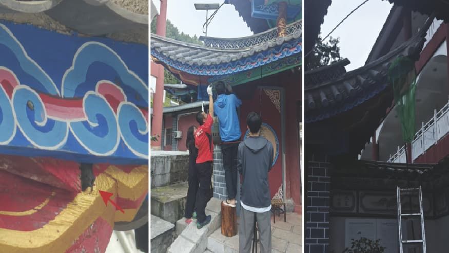云南发现新记录物种