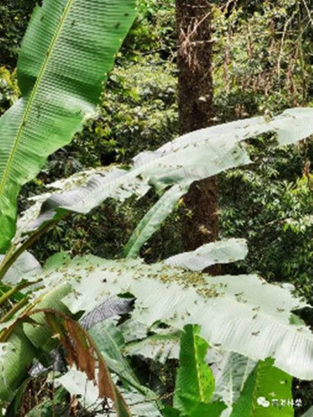 372270c9adc267d3c91f752d3be83cb5.jpg 372270c9adc267d3c91f752d3be83cb5.jpg