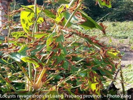 55d76b13be5e57187242fcc012e6f6eb.jpg 55d76b13be5e57187242fcc012e6f6eb.jpg