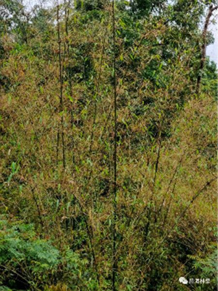 abd4502261df6150dfcdda3e8e08888c.jpg abd4502261df6150dfcdda3e8e08888c.jpg