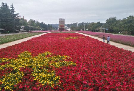 b76cca40daba72cebc4e65ac10a14ae0.jpg b76cca40daba72cebc4e65ac10a14ae0.jpg