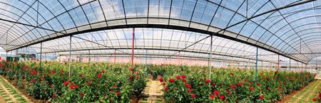 cc73827f7defa6b2dfcab08ca9ac4b80.jpg cc73827f7defa6b2dfcab08ca9ac4b80.jpg