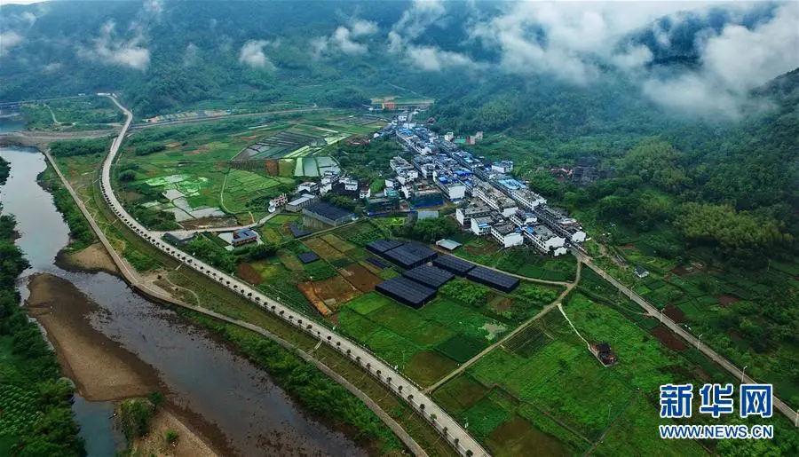 点击查看大图 图片