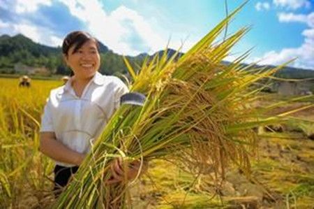 3181a4d7bceba32aa82786176df531ba.jpg 3181a4d7bceba32aa82786176df531ba.jpg