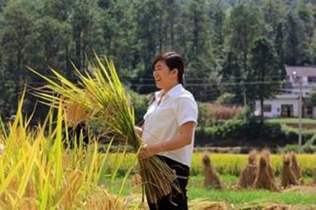 f31b5640e81a7e2a95239ce2548bd788.jpg f31b5640e81a7e2a95239ce2548bd788.jpg