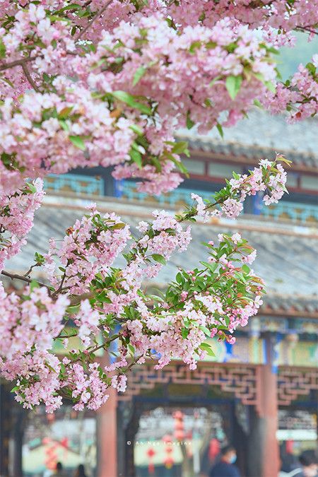 12025fd612920ffbd5b94d2c26719a45.jpg 12025fd612920ffbd5b94d2c26719a45.jpg