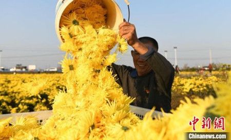 55010aabe5fc9ccec6de06e070de98b1.jpg 55010aabe5fc9ccec6de06e070de98b1.jpg