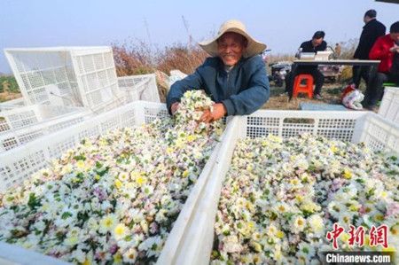 e5688a86fa698f9548f514c379af055c.jpg e5688a86fa698f9548f514c379af055c.jpg