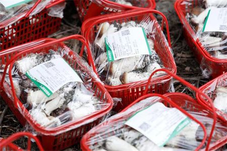 27824b96d27c8df389456bca1435002a.jpg 27824b96d27c8df389456bca1435002a.jpg