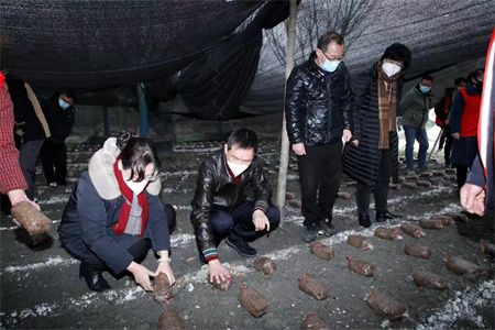 dc47a2cb750798188a27794e3862f9c4.jpg dc47a2cb750798188a27794e3862f9c4.jpg