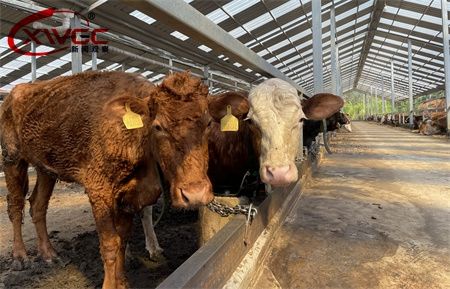 104648d203ee2fda9ec2c7620fa03bc5.jpg 104648d203ee2fda9ec2c7620fa03bc5.jpg