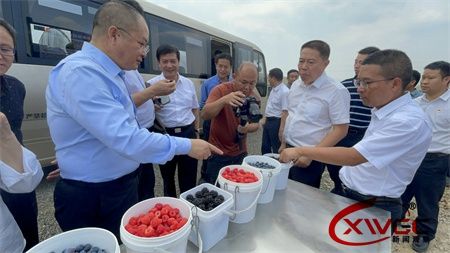 cf78ca65d33390c089d2cbac538c7cb0.jpg cf78ca65d33390c089d2cbac538c7cb0.jpg