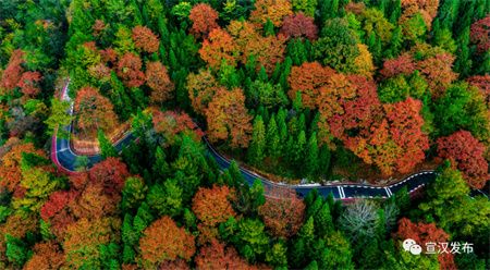 722e11ea8af7529394628579b4c54a92.jpg 722e11ea8af7529394628579b4c54a92.jpg