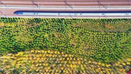 07b80087657f34107ecfeff90ee0af3b.jpg 07b80087657f34107ecfeff90ee0af3b.jpg