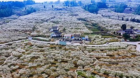 2ee2826c2f534f70e156e3b0f9263ecd.jpg 图片