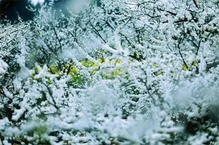 4acfad89806251a4a68bb219699cf95e.jpg 图片