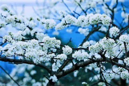 9f373b1e46b499ab66364c744c3f91bb.jpg 图片