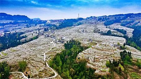 ce3262dba52bc859eb213bd8c5081976.jpg 图片