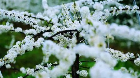 899522cb4c10b5d11d305bbfe5c82ed1.jpg 图片