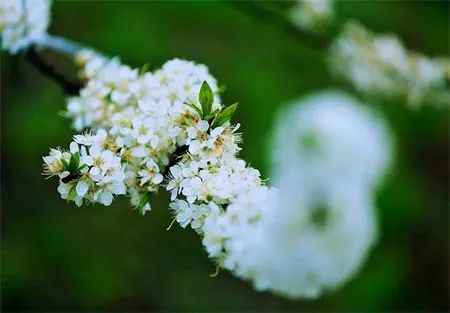 fed810d8a479cd40e9bd987ab25aa463.jpg 图片