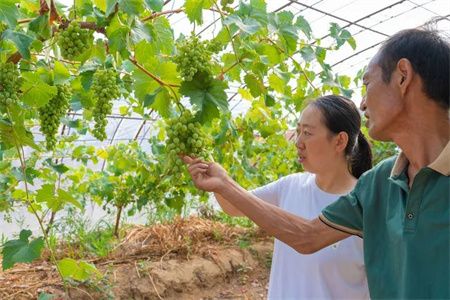 13ff12a3bf5e68abe5c0d4b9bf63d596.jpg 13ff12a3bf5e68abe5c0d4b9bf63d596.jpg