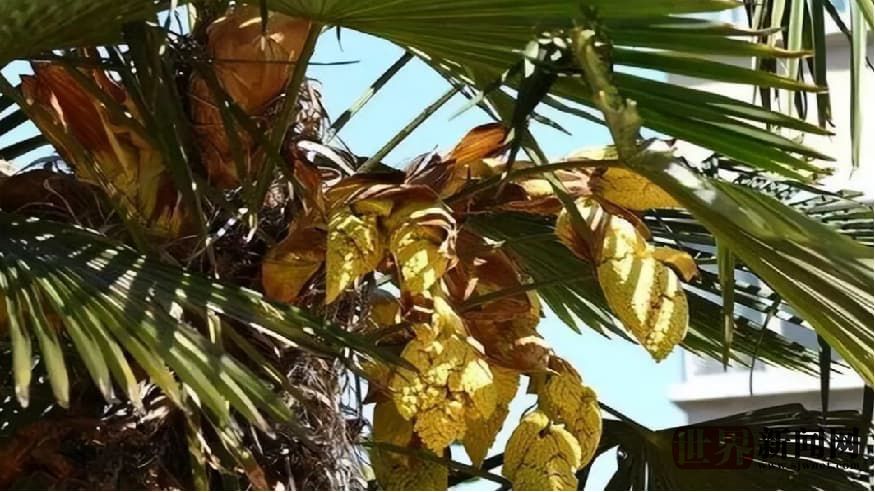 1754a2486c8e7b44aa0a895d074e5ef6.jpg 1754a2486c8e7b44aa0a895d074e5ef6.jpg