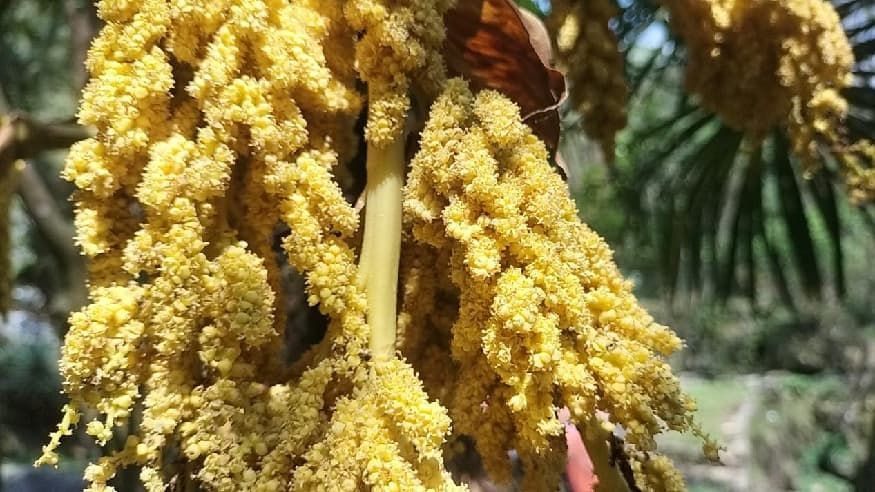 36fdeffc817f1ea87e4c705c1f9fce68.jpg 36fdeffc817f1ea87e4c705c1f9fce68.jpg