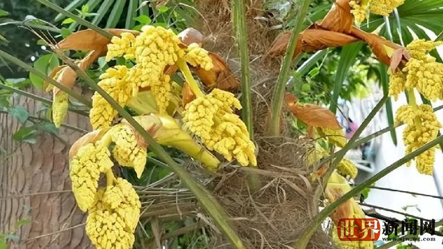 41917a49aa74a08bdf51f9bd9e9ae878.jpg 41917a49aa74a08bdf51f9bd9e9ae878.jpg