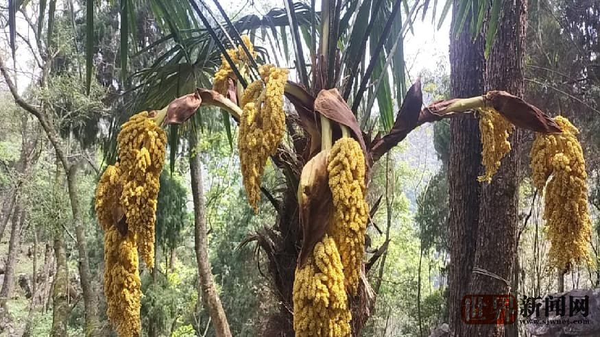 78a523c9514dd3f7f509e292ab5018d0.jpg 78a523c9514dd3f7f509e292ab5018d0.jpg