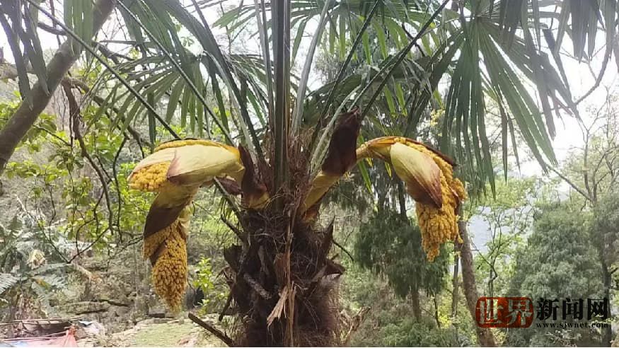 85ecdaaf669fc02f8160abf74ee07c4d.jpg 85ecdaaf669fc02f8160abf74ee07c4d.jpg