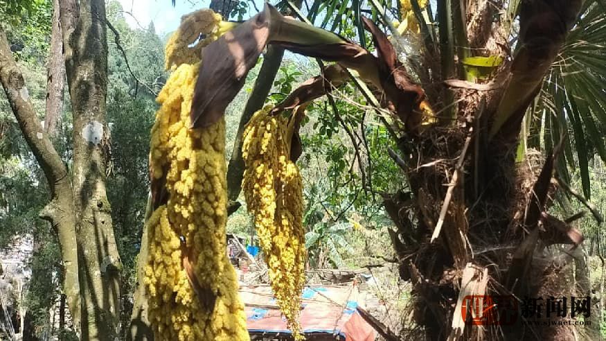 baa805fde762e84413c8346b33cc113c.jpg baa805fde762e84413c8346b33cc113c.jpg